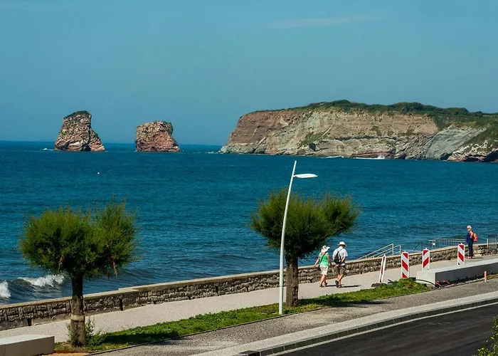 Premiere Ligne De Plage, Face A La Apartman Hendaye